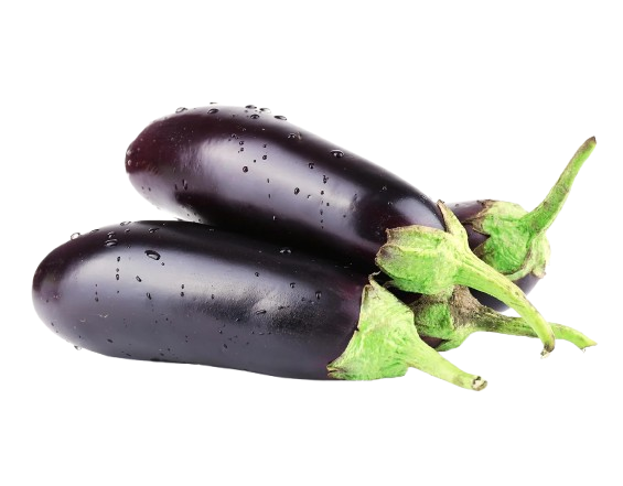 Long Brinjal (Biagan) 500g