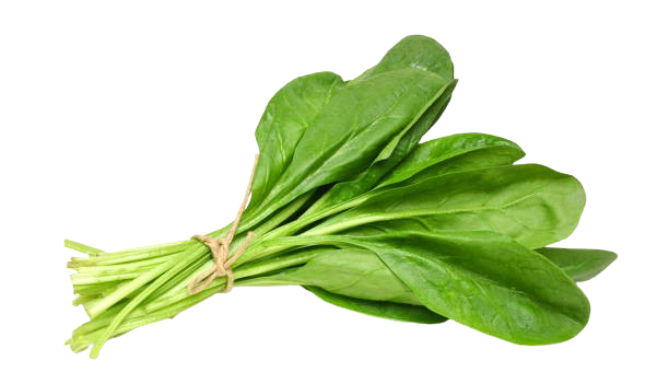 Spinach (Palak) 500g