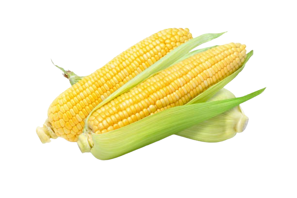 Corn (1kg)