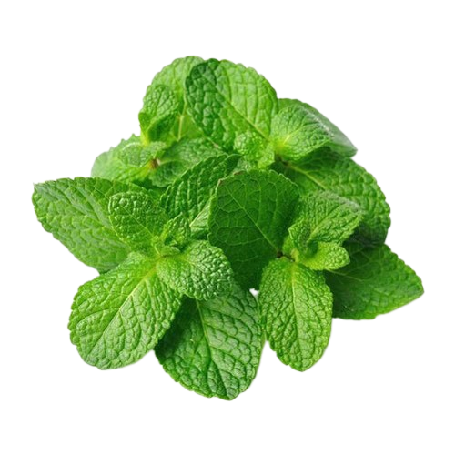 Mint Leaves