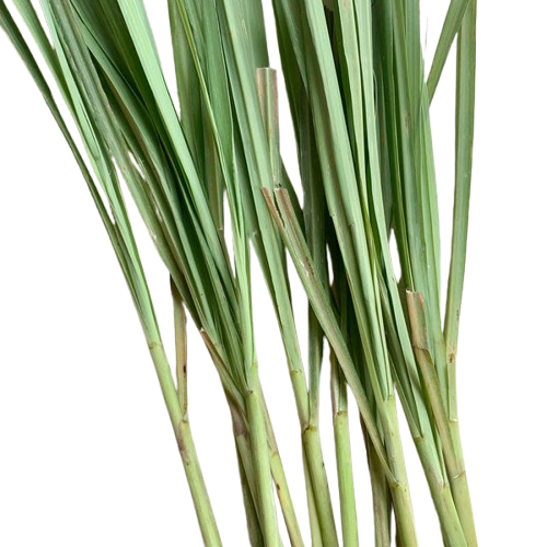 Lemongrass 100g