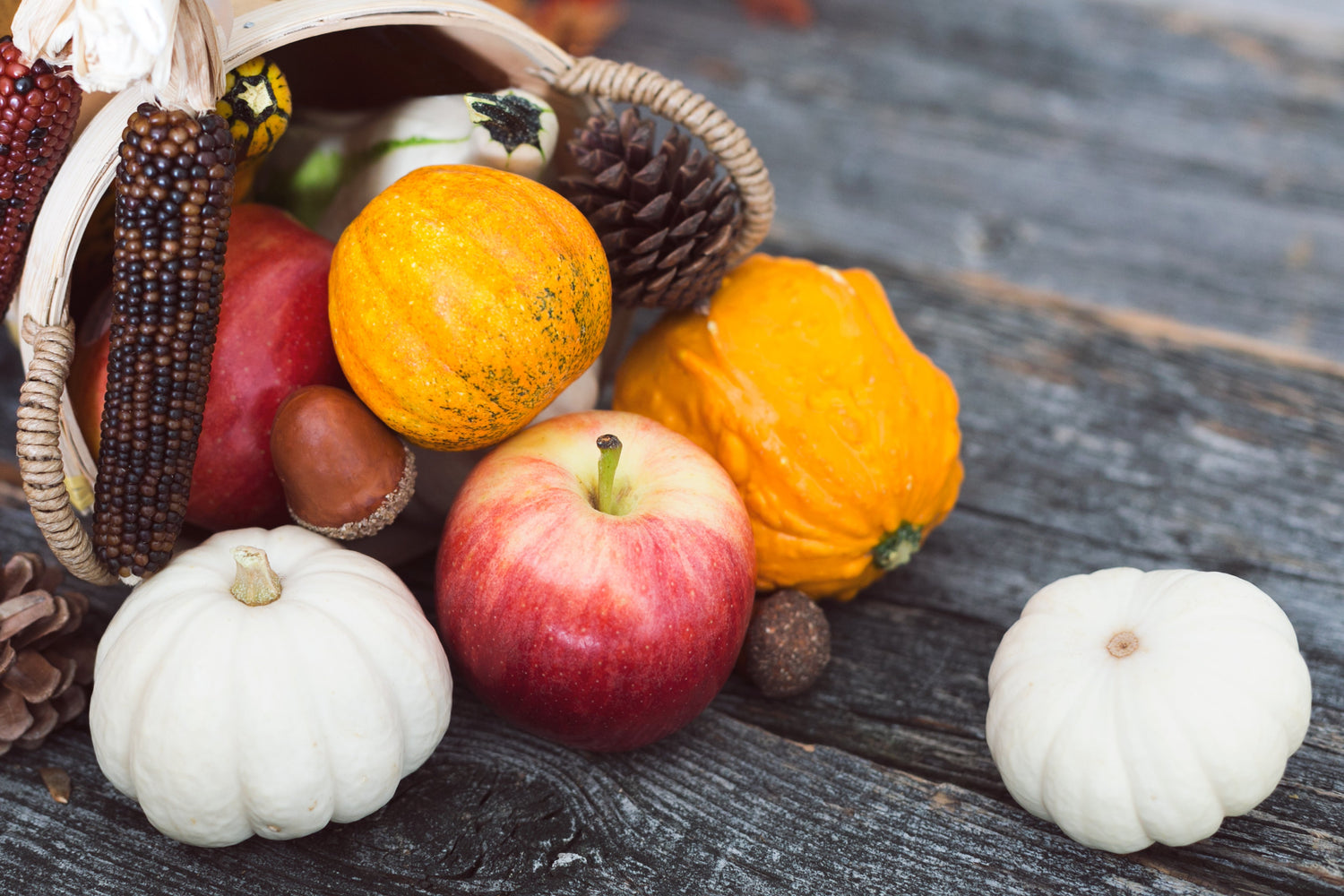 Fresh Fruits!