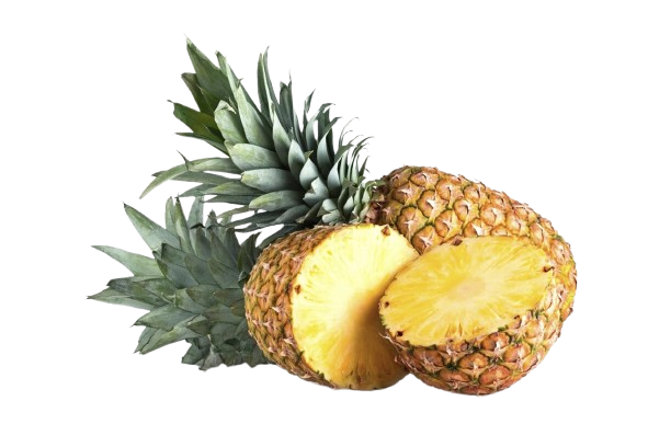 Pineapple 1 Piece